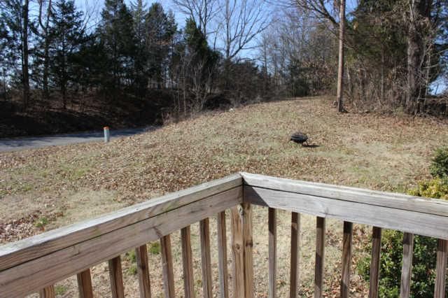 1861 New Cut Rd, Columbia, TN 38401