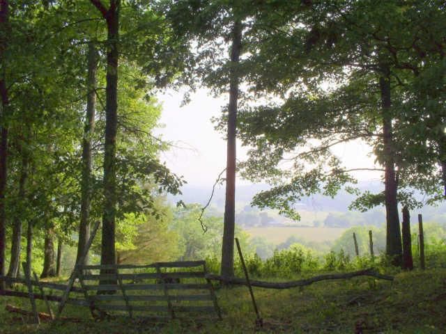 0 Booker Farm Rd, Hampshire, TN 38461
