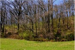 3030 Smith Ln, Franklin, TN 37069