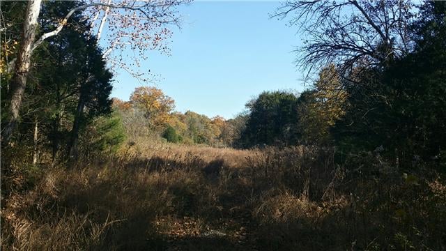 0 Mcelroy, Readyville, TN 37149