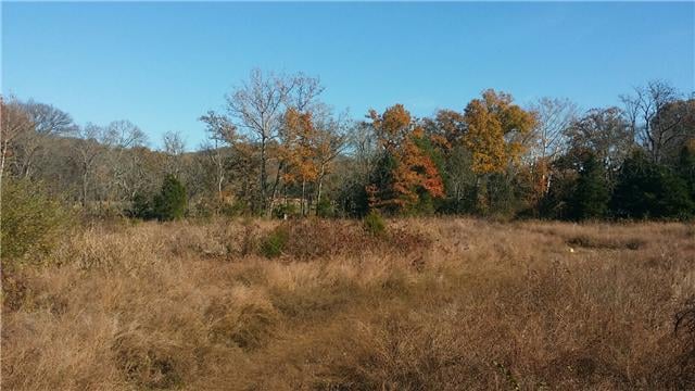 0 Mcelroy, Readyville, TN 37149