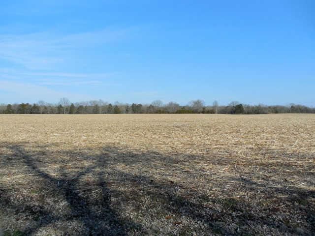 9743 Powells Chapel Rd, Murfreesboro, TN 37129