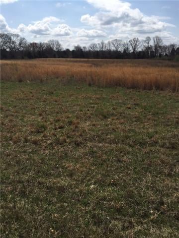 4 Newtown Rd, Rockvale, TN 37153