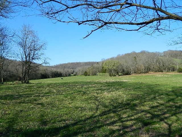 6923 Pulltight Hill Rd, College Grove, TN 37046