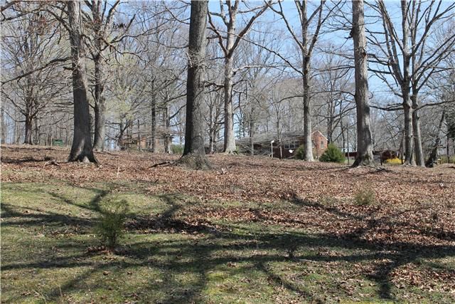 7114 Anglin Rd, Fairview, TN 37062