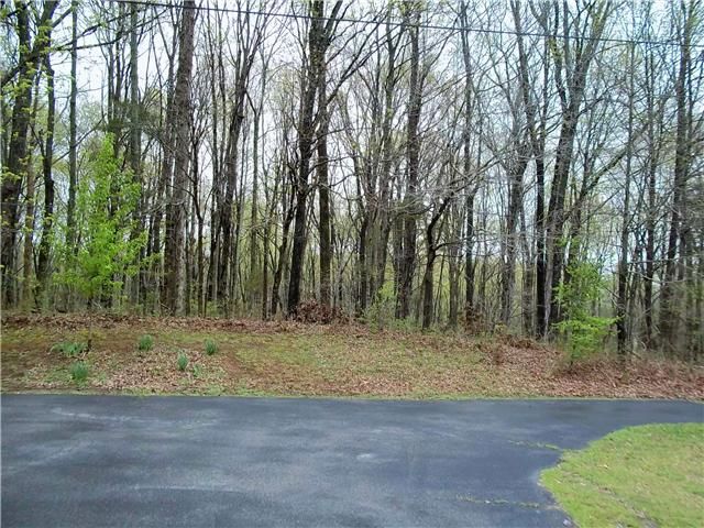 323 Jaywood Ln, Mount Juliet, TN 37122