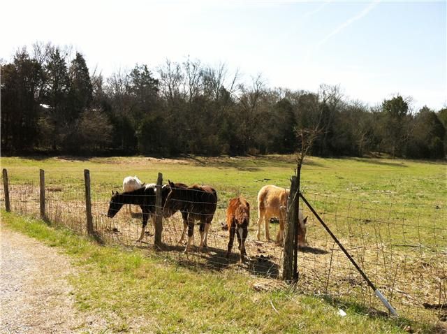 4728 Kedron Rd, Spring Hill, TN 37174