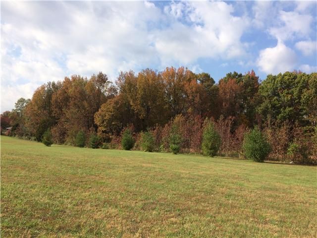 776 Mccurdy Rd, White House, TN 37188