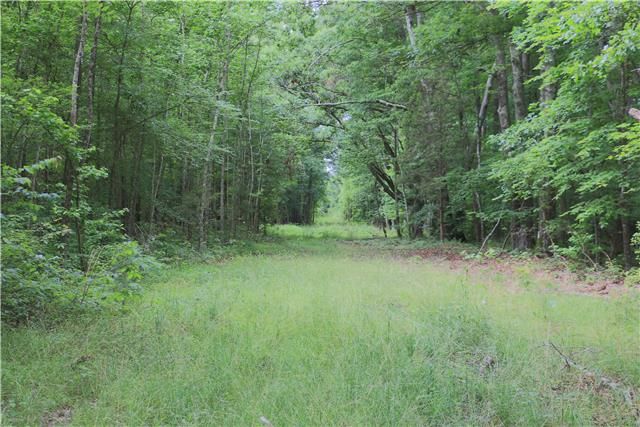 3353 Ready Section Rd, Ardmore, AL 35739