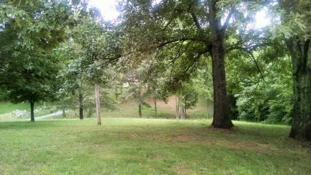 3385 Maxey Rd, Cedar Hill, TN 37032