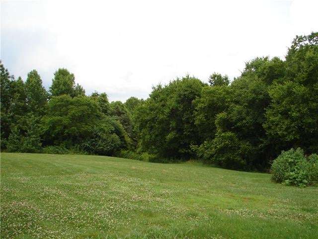5014 Mckee Padilla Ln, College Grove, TN 37046