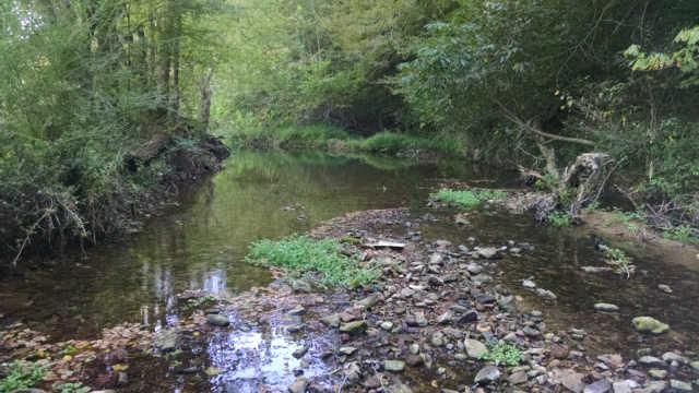 0 Leatherwood Rd, Vanleer, TN 37181