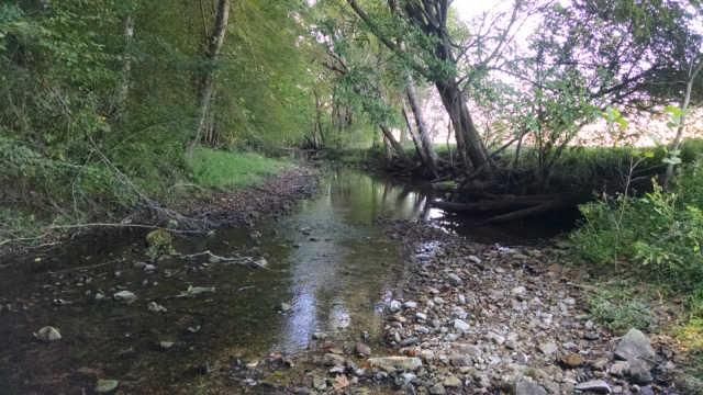 0 Leatherwood Rd, Vanleer, TN 37181