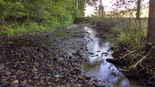 0 Leatherwood Rd, Vanleer, TN 37181