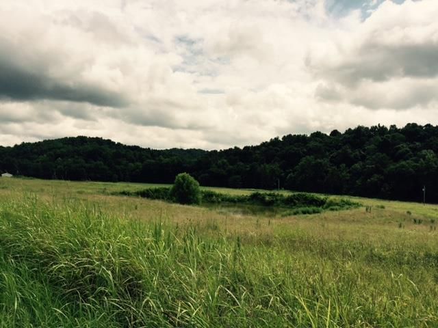 0 Leatherwood Rd, Vanleer, TN 37181