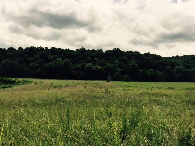 0 Leatherwood Rd, Vanleer, TN 37181