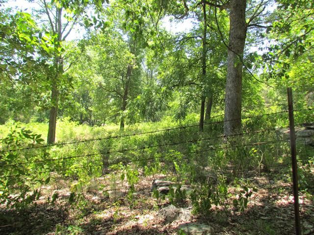 4 Phillips Ave, Watertown, TN 37184