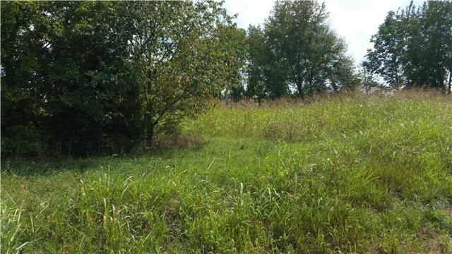 2928 Highway 31e, Bethpage, TN 37022