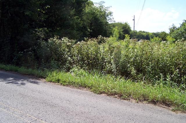 7 Rockdale Fellowship Rd, Mount Juliet, TN 37122