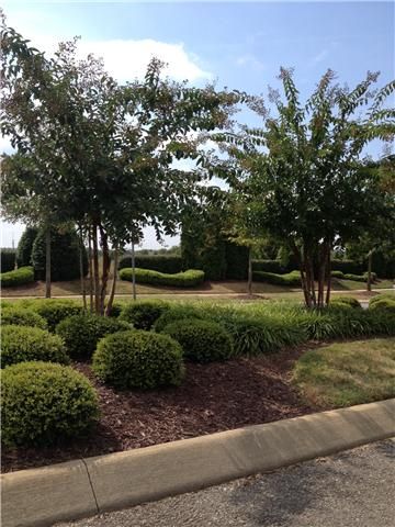 2176 Cason Ln A&b, Murfreesboro, TN 37128
