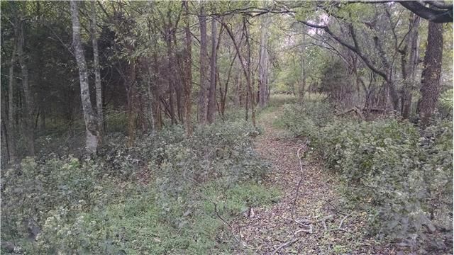6591 Owen Hill Rd, College Grove, TN 37046