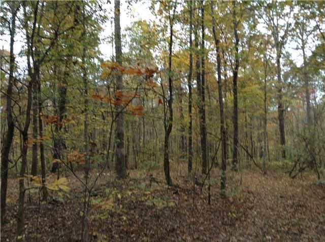 5855 Greenbrier Rd, Franklin, TN 37064