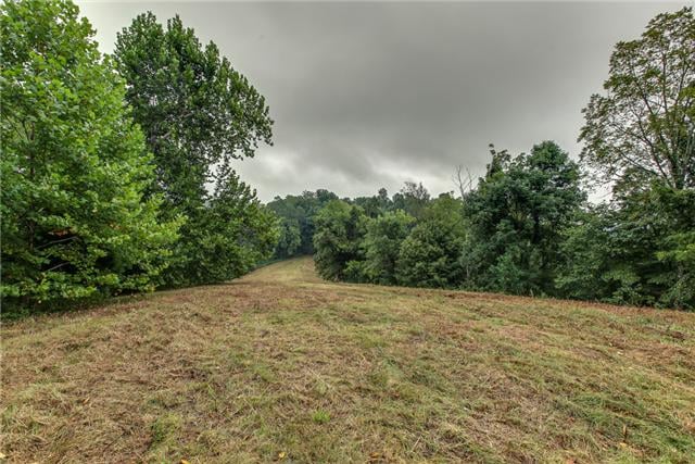 5412 Leipers Creek Rd, Santa Fe, TN 38482