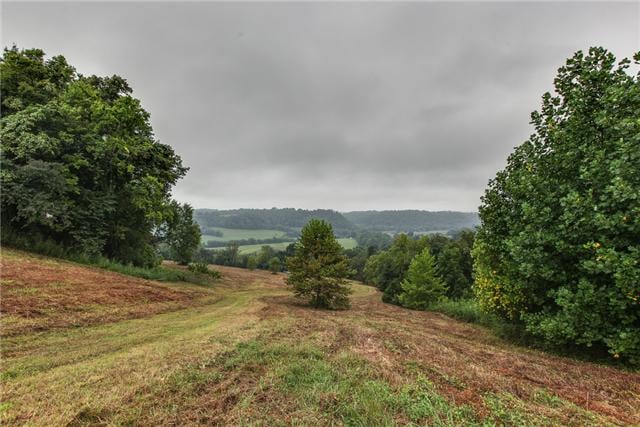 5412 Leipers Creek Rd, Santa Fe, TN 38482