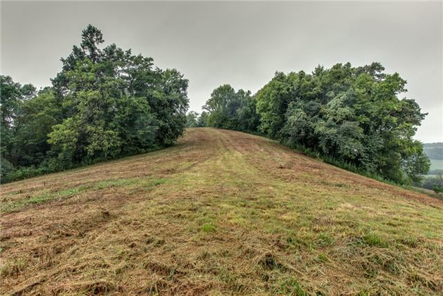 5412 Leipers Creek Rd, Santa Fe, TN 38482