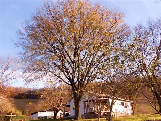 3435 Sherrilltown Rd, Watertown, TN 37184