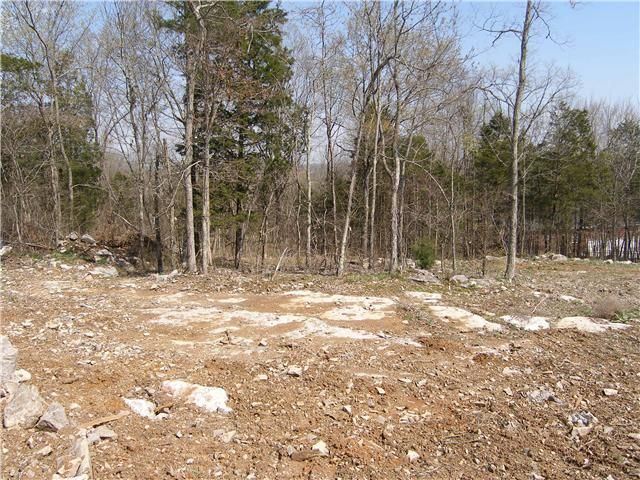 202 Bobwood Dr, Mount Juliet, TN 37122