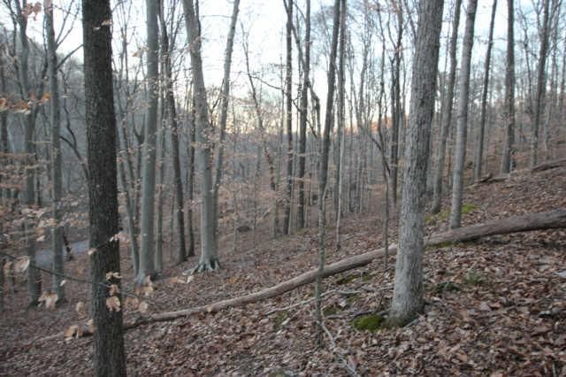 0 Skelley Rd, Columbia, TN 38401