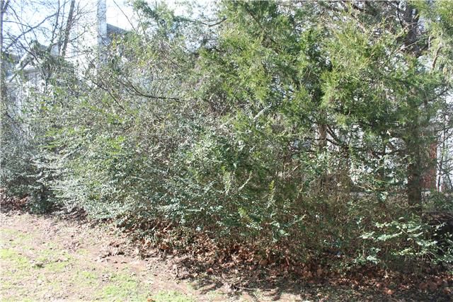 3168 Prater Ct, Murfreesboro, TN 37128