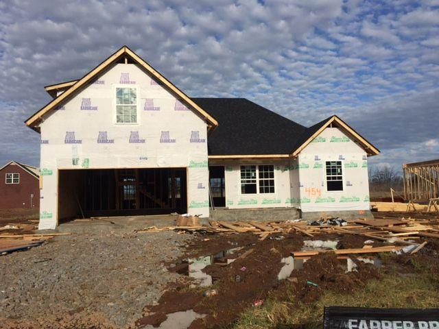 2432 Auldridge Dr, Christiana, TN 37037