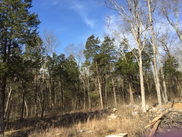2301 Arbor Pointe Way L 44, Mount Juliet, TN 37122