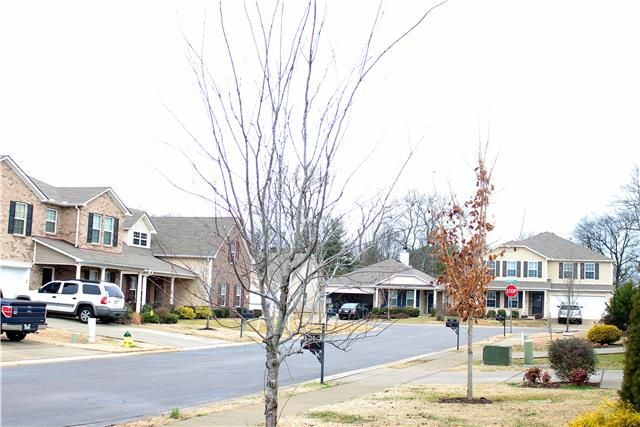 714 Elderberry Way, Murfreesboro, TN 37128