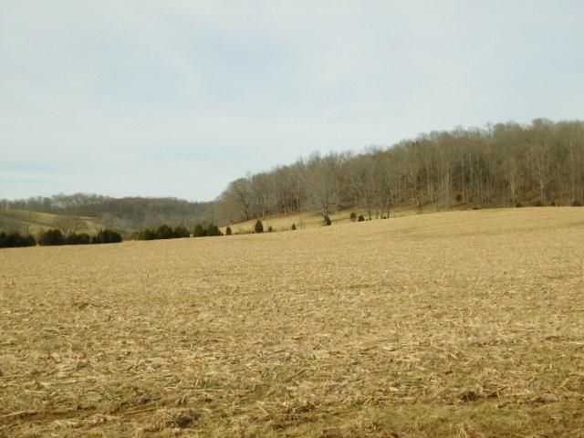 7 Awesome Ave, Cottontown, TN 37048