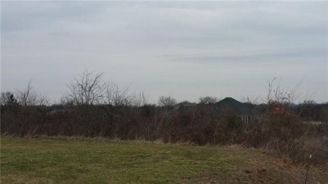 3 New Dawn Rd, Rockvale, TN 37153