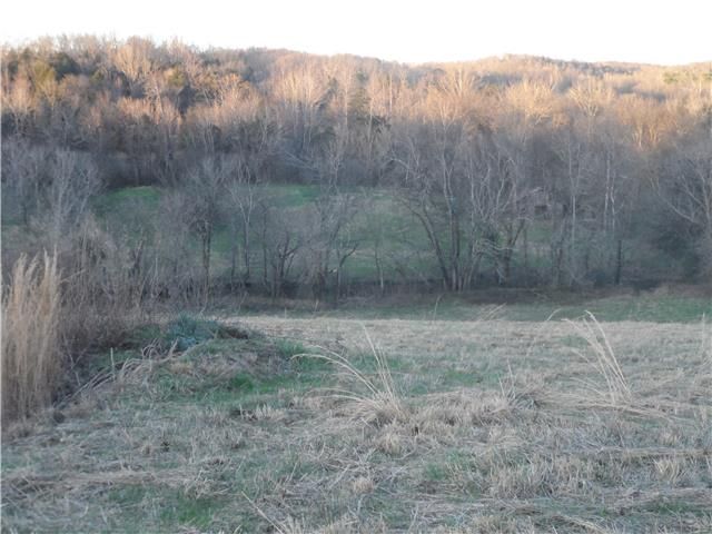 0 Marlow Rd, Williamsport, TN 38487