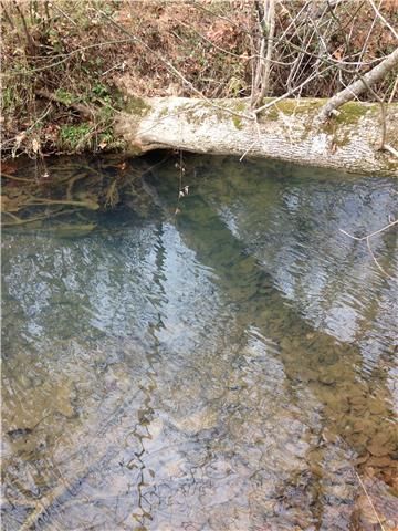 0 Beech Grove Rd, Ashland City, TN 37015
