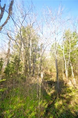0 Greasy Branch Rd, Columbia, TN 38401
