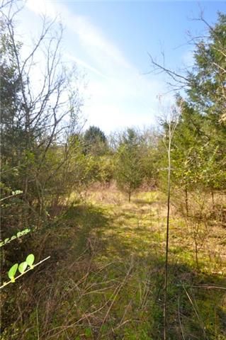 0 Greasy Branch Rd, Columbia, TN 38401