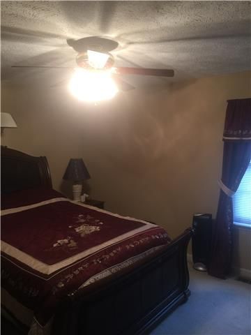 243 Mcniel Dr, Murfreesboro, TN 37128