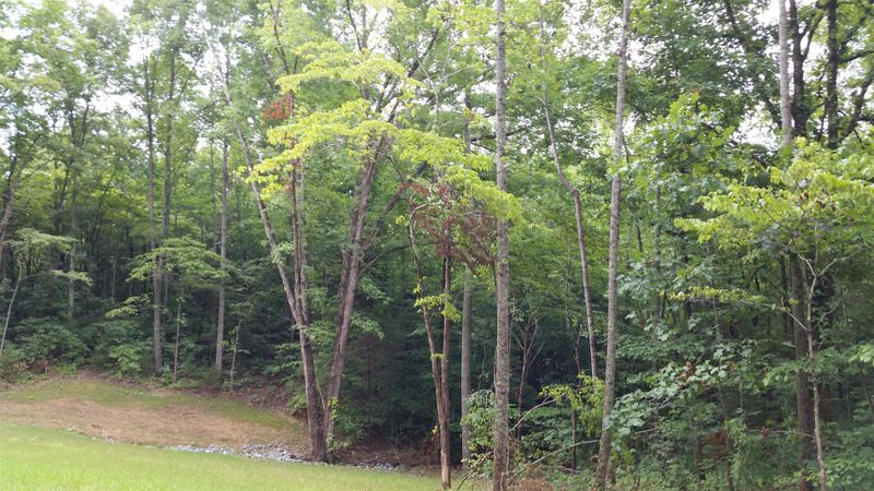 3 Rose Ridge Lot #3, Fairview, TN 37062