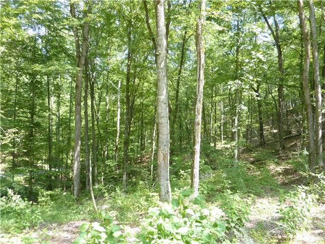6031 Garrison Springs Rd, Franklin, TN 37064