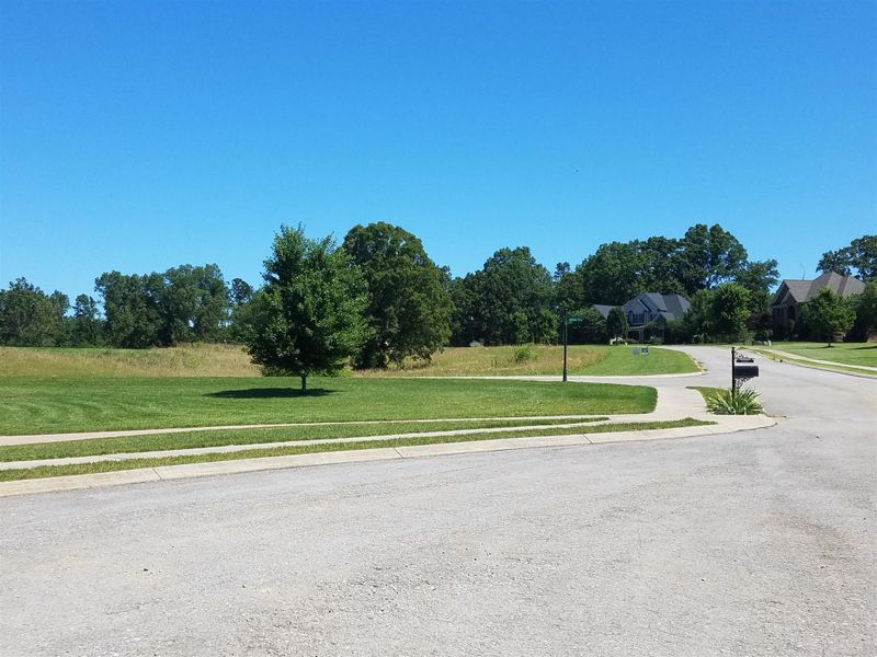 7310 Stirrup Ln, Fairview, TN 37062