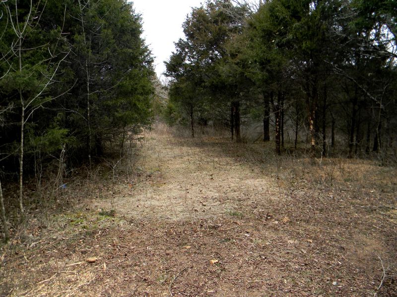 0 Rocky Glade Rd, Eagleville, TN 37060
