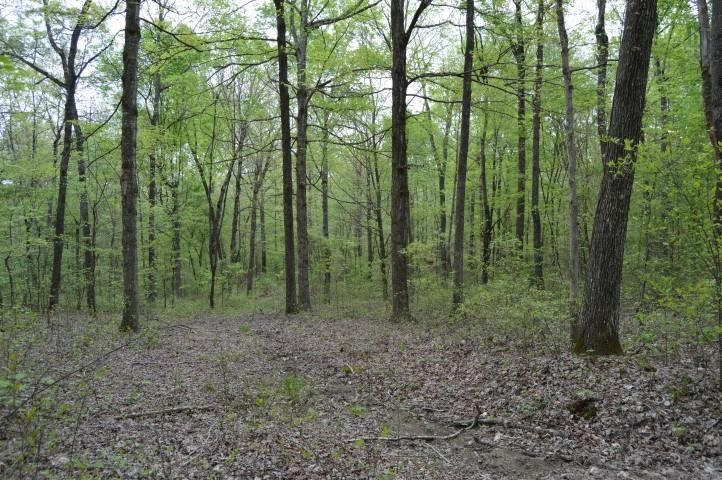 270 Brazzell Rd, Dickson, TN 37055