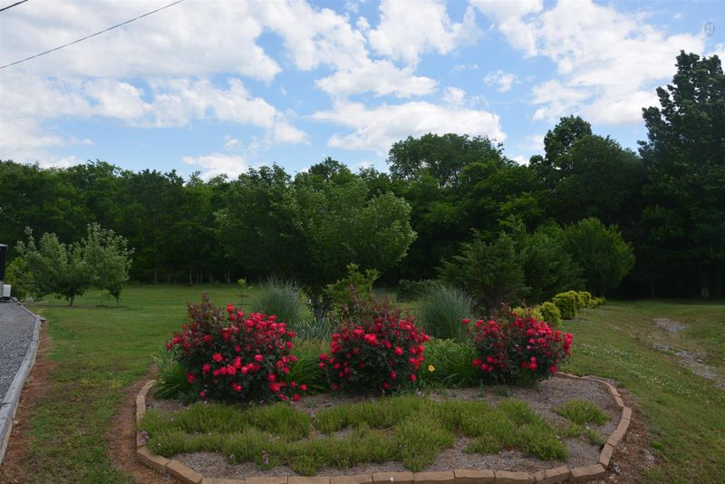 205 Ivanhoe Ct, Murfreesboro, TN 37127