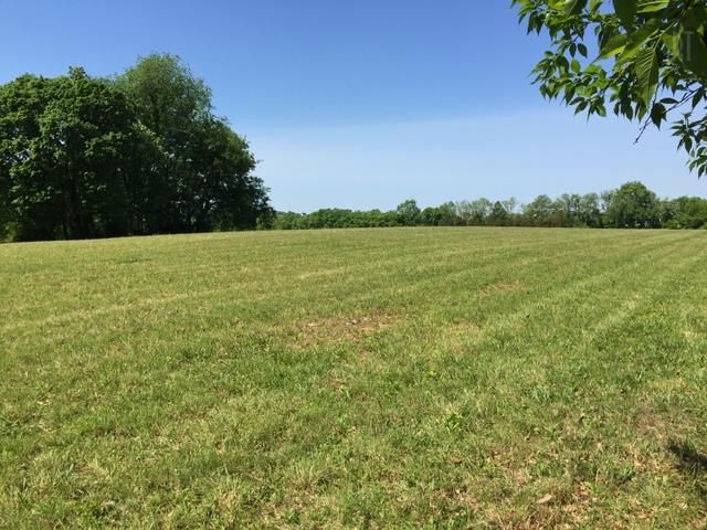 4530 Cranesbill Pvt Ln, Franklin, TN 37064